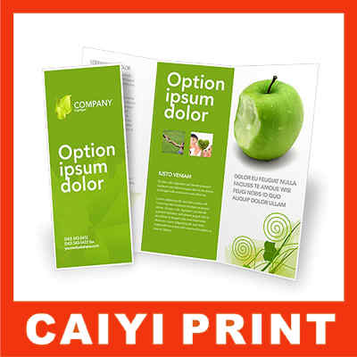 Printed Brochures